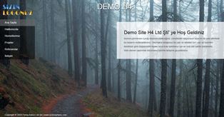 Tanıtım H4 web sitesi demosu